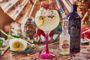 old-toms-gin-bar-durham-gin